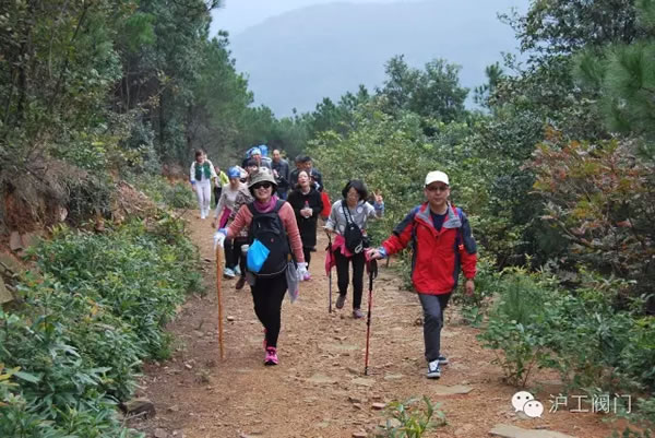 �Ϻ������y�T�S2016���＾ͽ�����л�� �D13