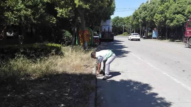 �����y�T(m��n)�����Aͤ�坍�҈@־Ը�߻��(d��ng)���D2��