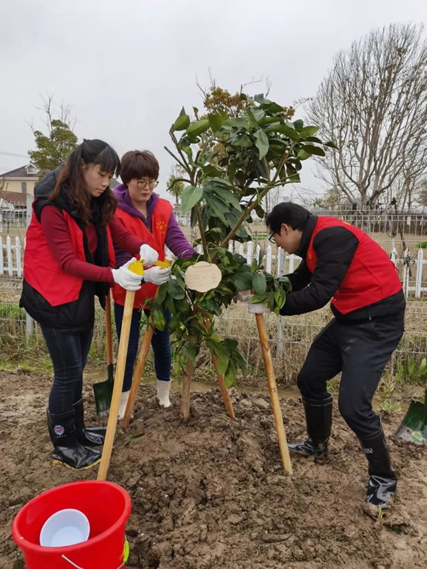 2021���Ϻ������y�T�S�����F�����޹�˾����ӛ���D9��