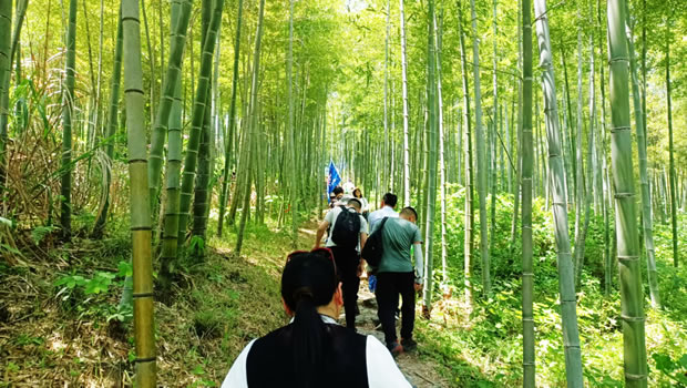 �Ϻ������y�T�S2024��������ŵ�����ͽ����ӣ��D3��